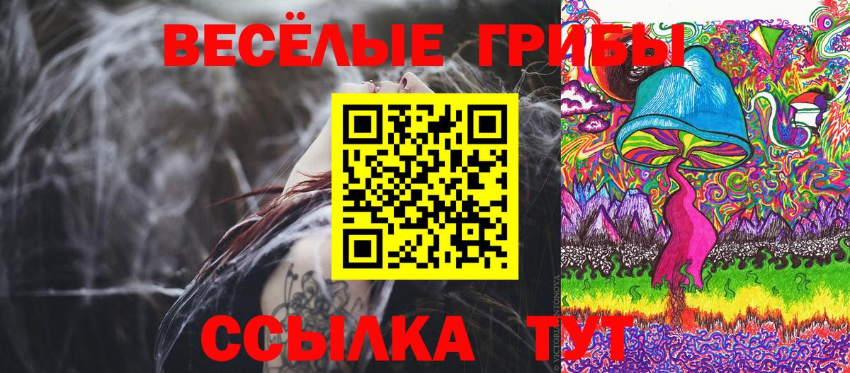 Галлюциногенные грибы мицелий Норильск
