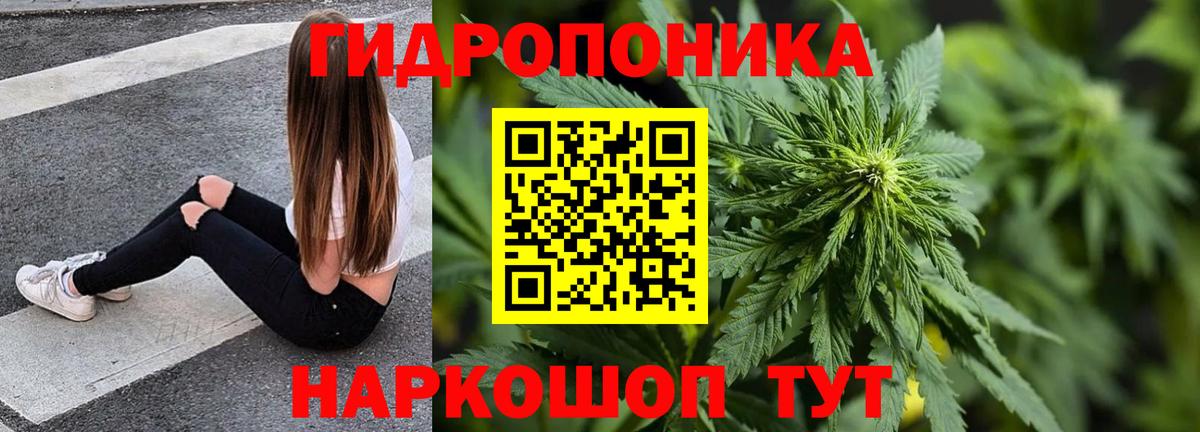 Конопля OG Kush Норильск
